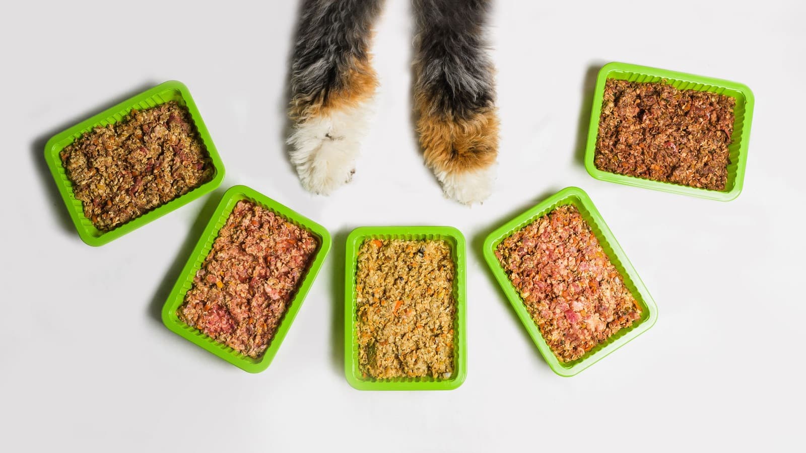 Pet Fresh brand photography