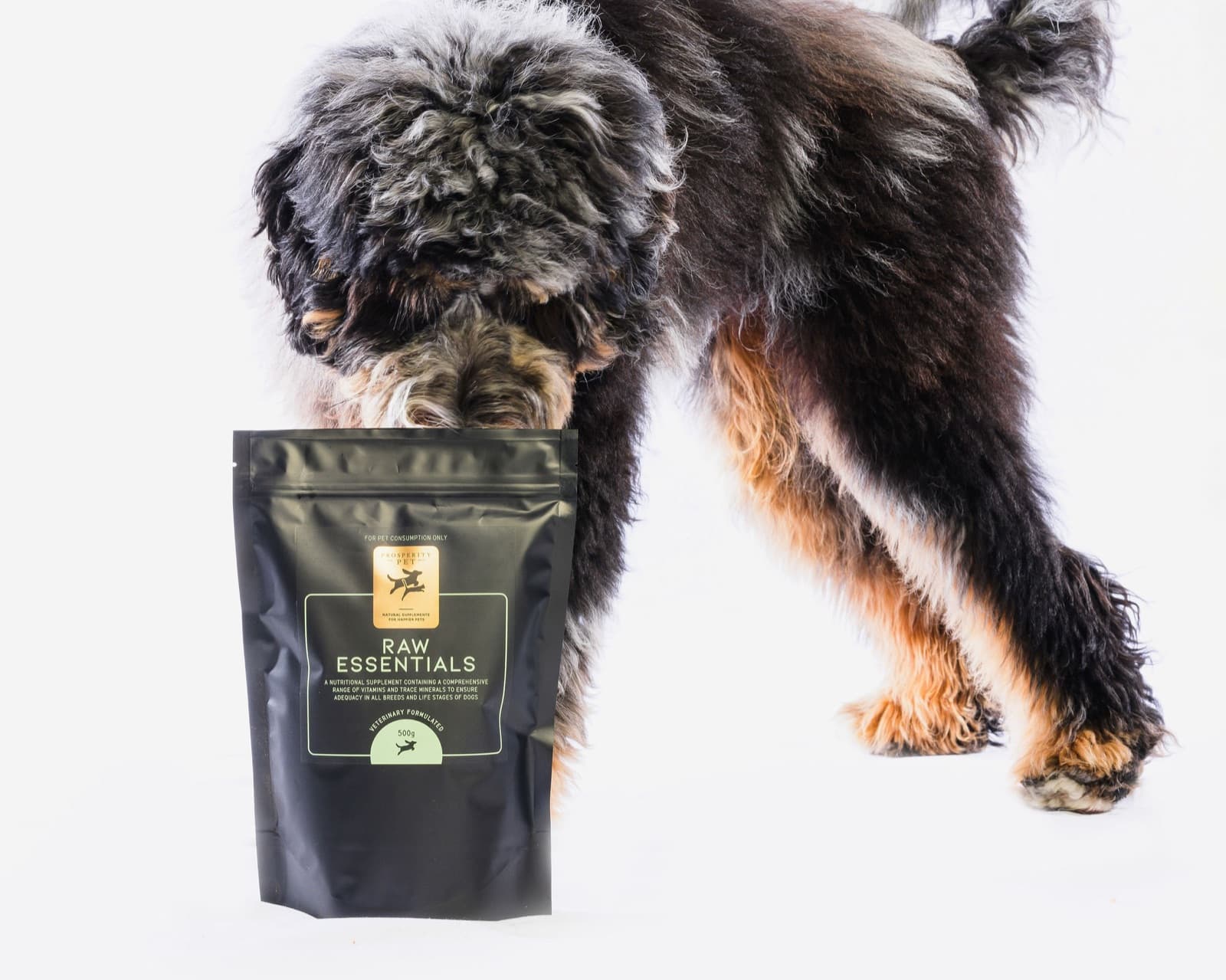 Prosperity Pet brand photography