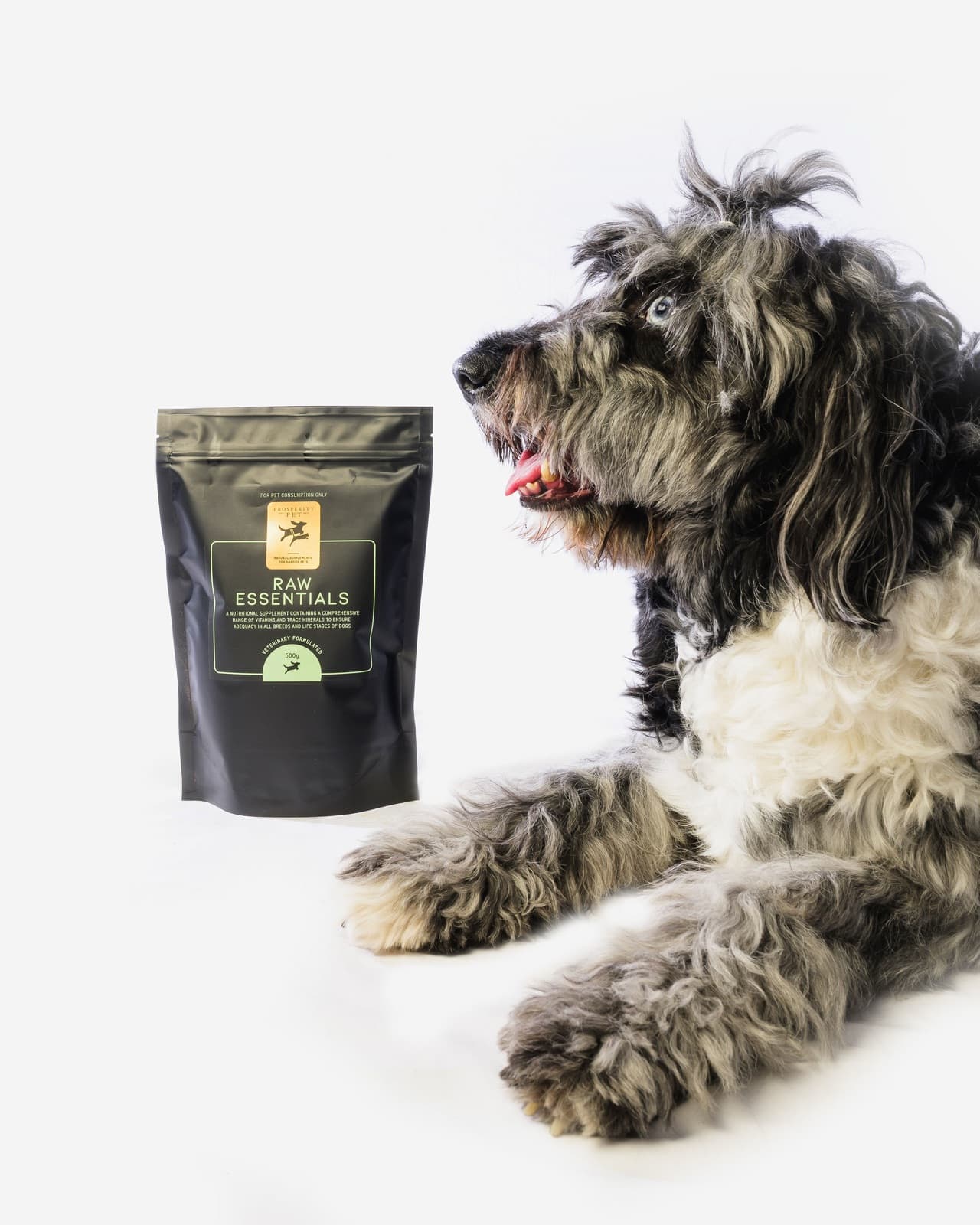 Prosperity Pet brand photography